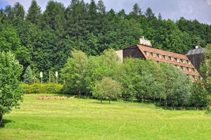 Lesní obora pod hotelem DIANA